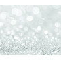 PET GLITTER серебро 0,05кг ВГТ