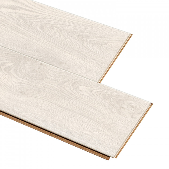 3251 Дуб Альбионе